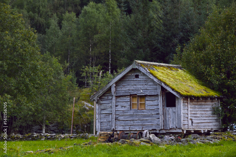 Shack House Cabin in the Woods with Moss Growing on Roof Shack House Cabin in the Woods with Moss Growing on Roof