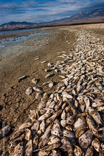 Salton Sea, California