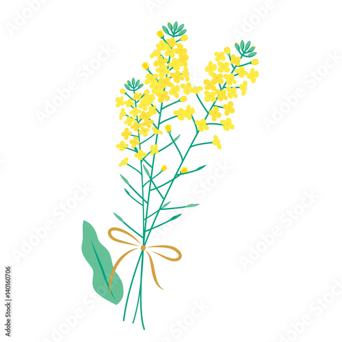 菜の花のイラスト　花束