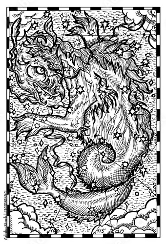 Giant Sky Whale. Engraved fantasy illustration. See all collection in my portfolio