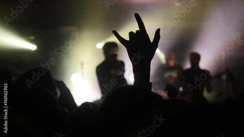 Fans waving their hands at a rock concert.