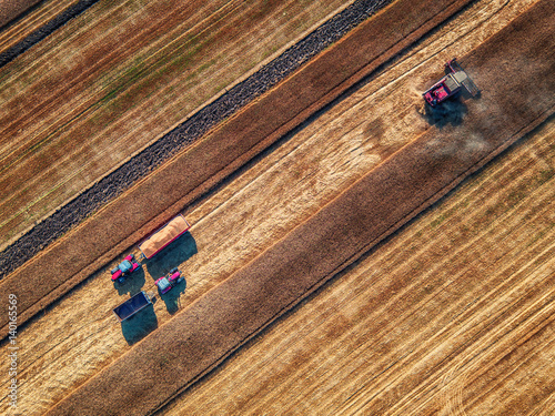 Aerial view of Combine harvester agriculture machine harvesting golden ripe wheat field