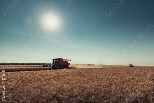 Combine harvester agriculture machine harvesting golden ripe wheat field