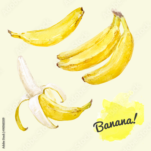 Watercolor vector bananas set