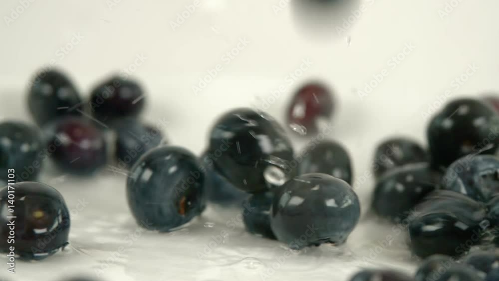 Fresh blueberries falling and splashing in water Fresh blueberries falling and splashing in water