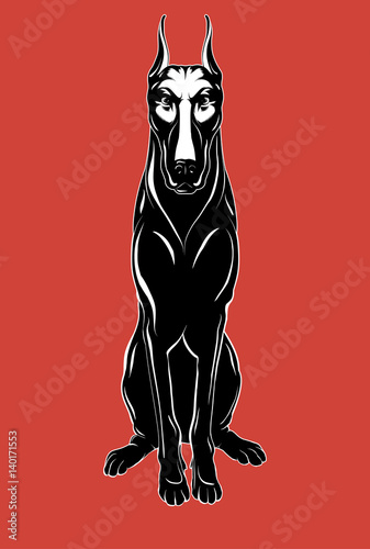 Angry Doberman