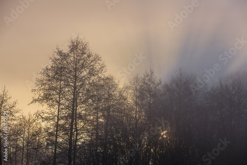 Winter Wonderland in the morning © Photo Collective