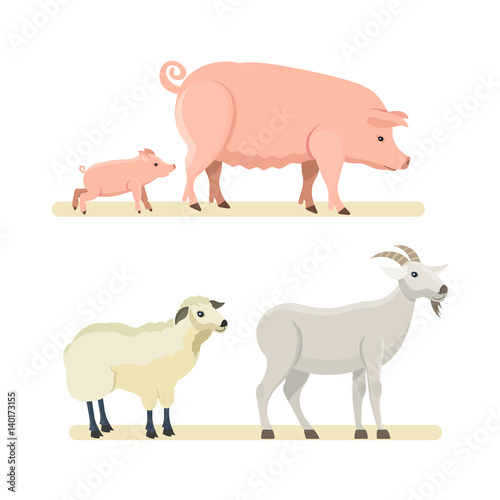 Cute funny sheep, goat, pink pig isolated on white background.