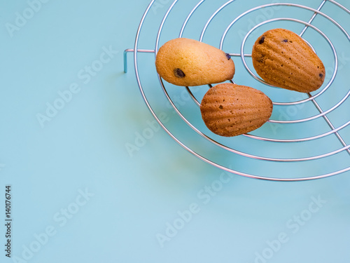3 French biscuit cookies Madeleine with chocolate drops on the bright blue background. Copy space