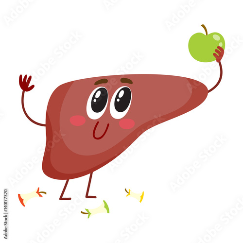 Cute and funny, smiling human liver character holding apple, healthy eating concept, cartoon vector illustration isolated on white background. Healthy human liver character, health care concept