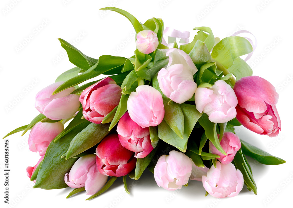 tulips bouquet lying tulips bouquet lying