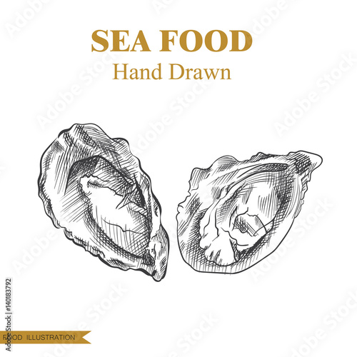 Hand drawn clams isolated on white background. Seafood elements sketch. Oysters vector illustrator. Retro style