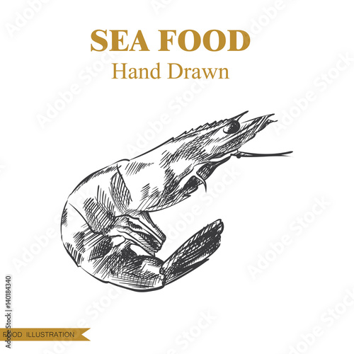 Hand drawn shrimp isolated on white background. Seafood elements sketch style vector illustrator. Retro style