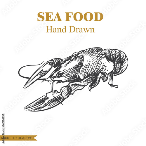 Hand drawn lobster isolated on white background. Seafood elements sketch style vector illustrator. Retro style