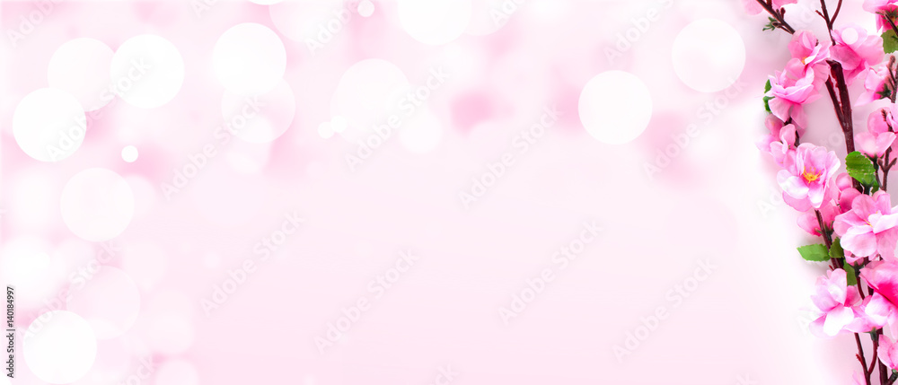 Pink Blossoms On White With Bokeh Lights