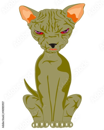Cat of the sort sphinx