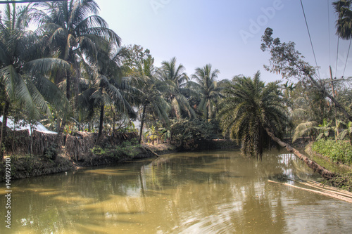 A small pond in Bagerhat  Bangladesh  