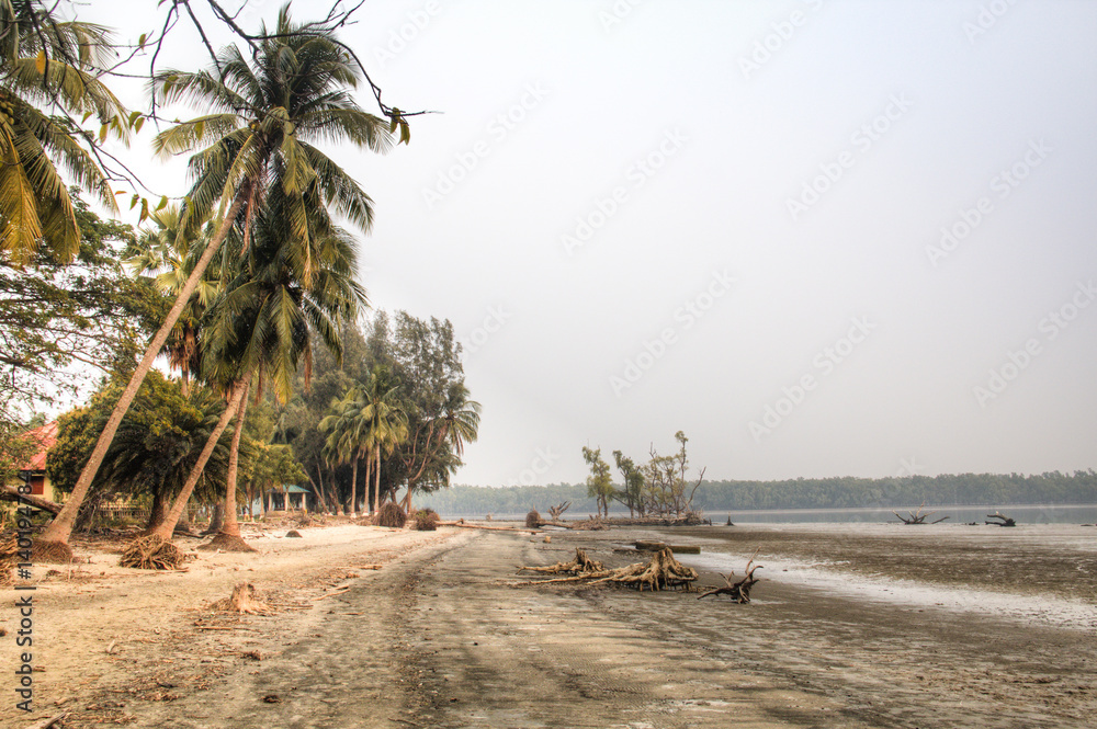 Naklejka premium Beach in the Sundarbans national park, famous for its Royal Bengal Tiger in Bangladesh 