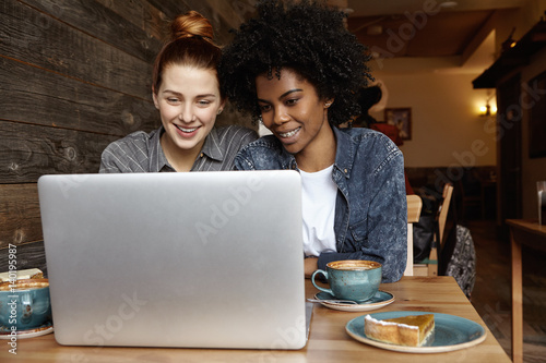 Happy samesex female couple using laptop at cafe. Two lesbians having fun at coffee shop, browsing pictures from their holidays or surfing internet on notebook pc, looking at screen with smiles