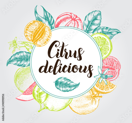 Background with citrus fruits and brush calligraphy style lettering. Composition circle. Template for design leaflets, labels, banners. Ink Hand drawn vector illustration.