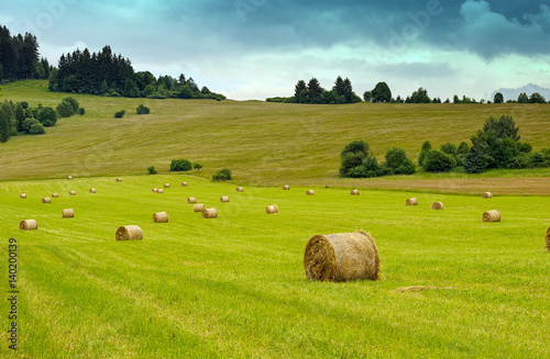 Fototapeta Countryside landscape with haystack or straw bales