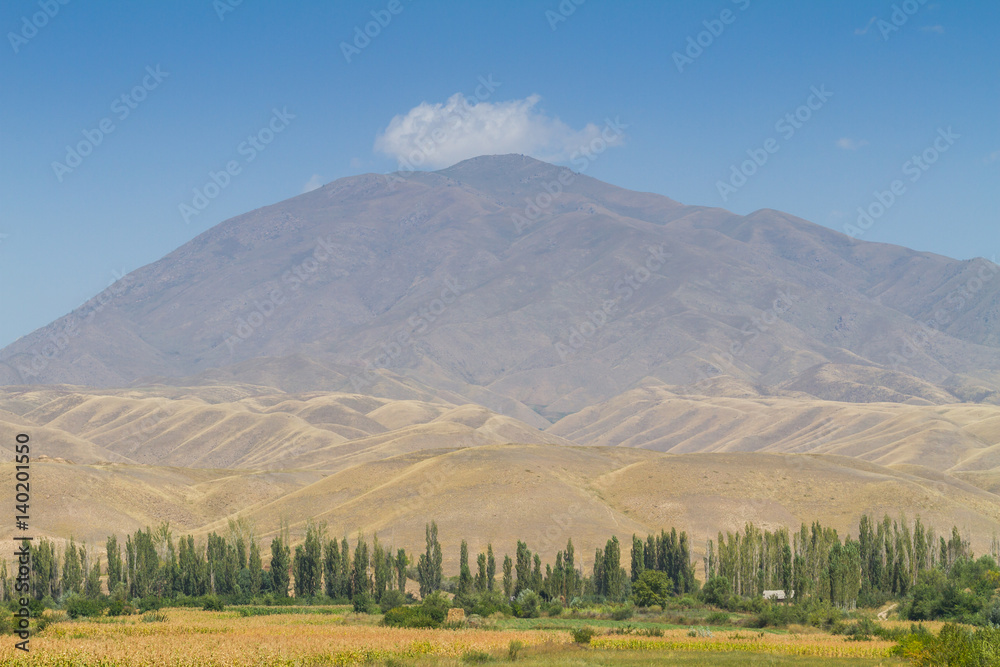 Fototapeta premium Mountain Landscape in Kyrgyzstan