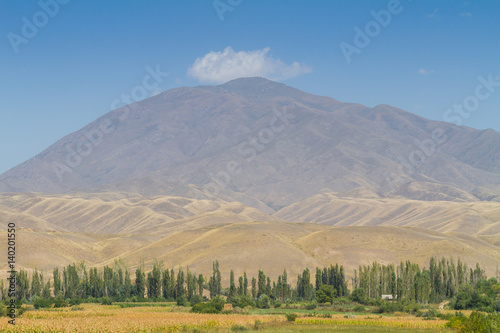 Mountain Landscape in Kyrgyzstan