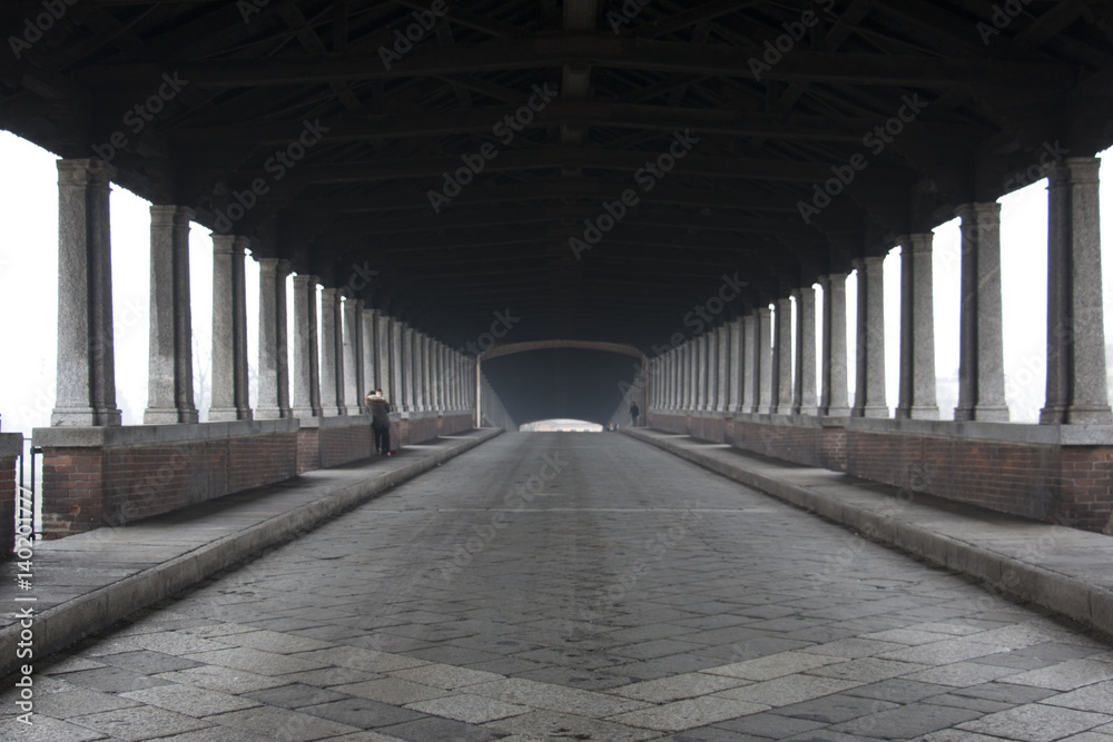 Covered Bridge in Pavia, Italy (Italia)