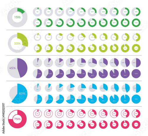 Set of pie chart infographic elements. 0, 5, 10, 15, 20, 25, 30, 35, 40, 45, 50, 55, 60, 65, 70, 75, 80, 85, 90, 95, 100 percents.