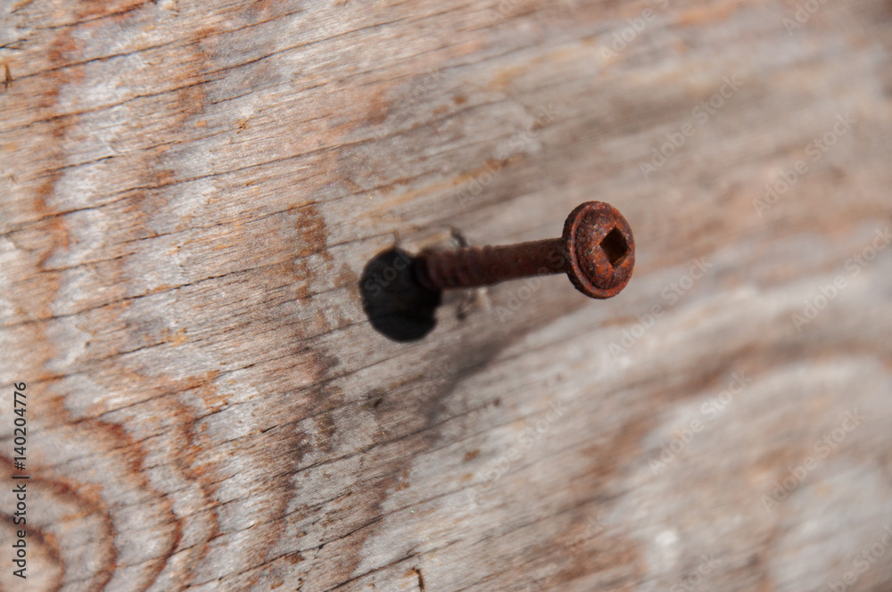 Rusty Screw in wood