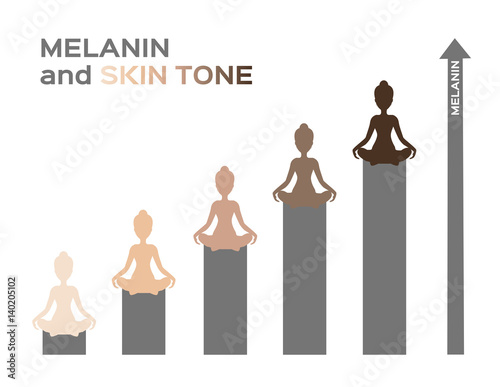 melanin and skin tone infographic vector