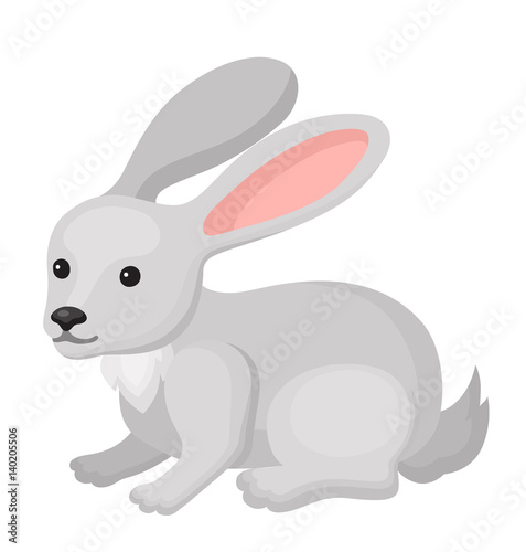 Little cartoon rabbit