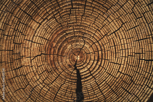 the age of the tree , sawn timber , wooden barrel , brown wood texture photo