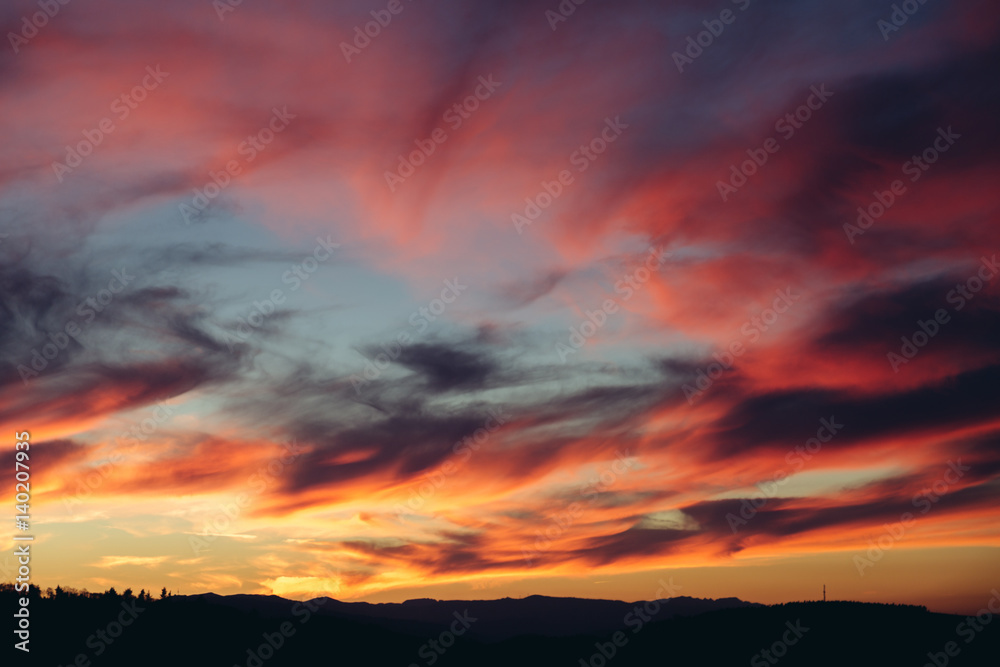 Fototapeta premium Beautiful red sunset over the field and forest