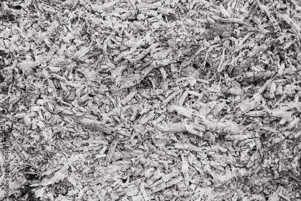 Black and white natural background. Burned land and wood. Horizontal color photography.