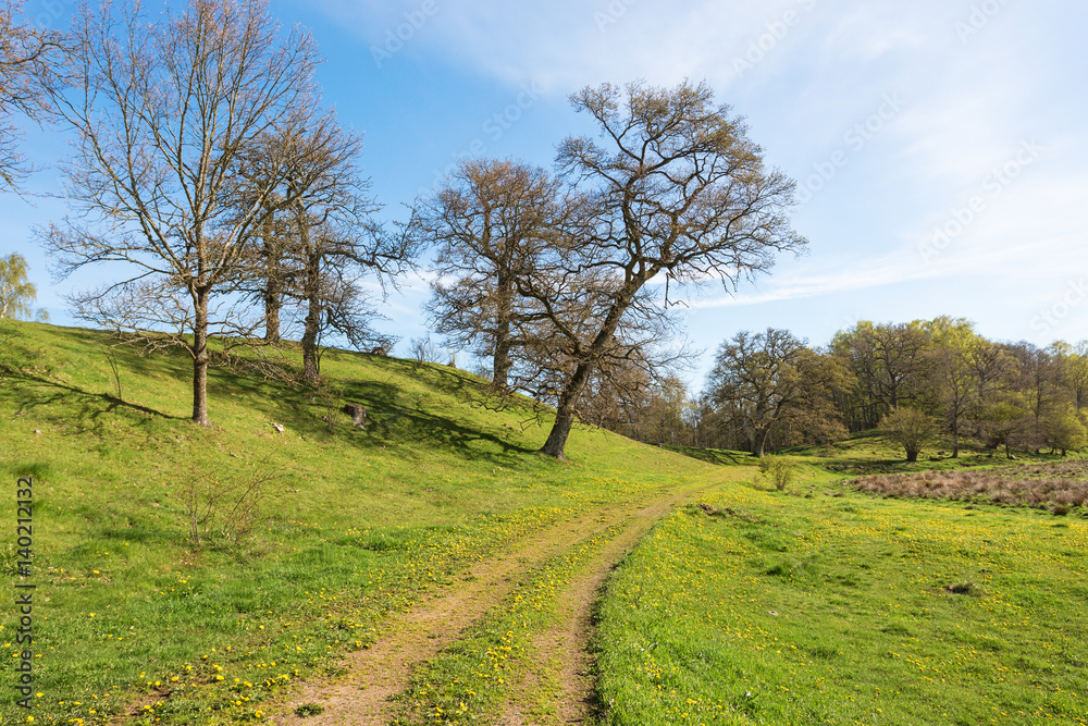 Grass road on a meadow at hills