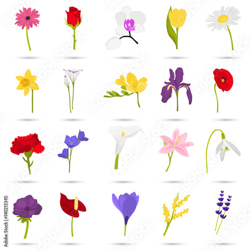 Set of different flowers color flat icons for web and mobile design