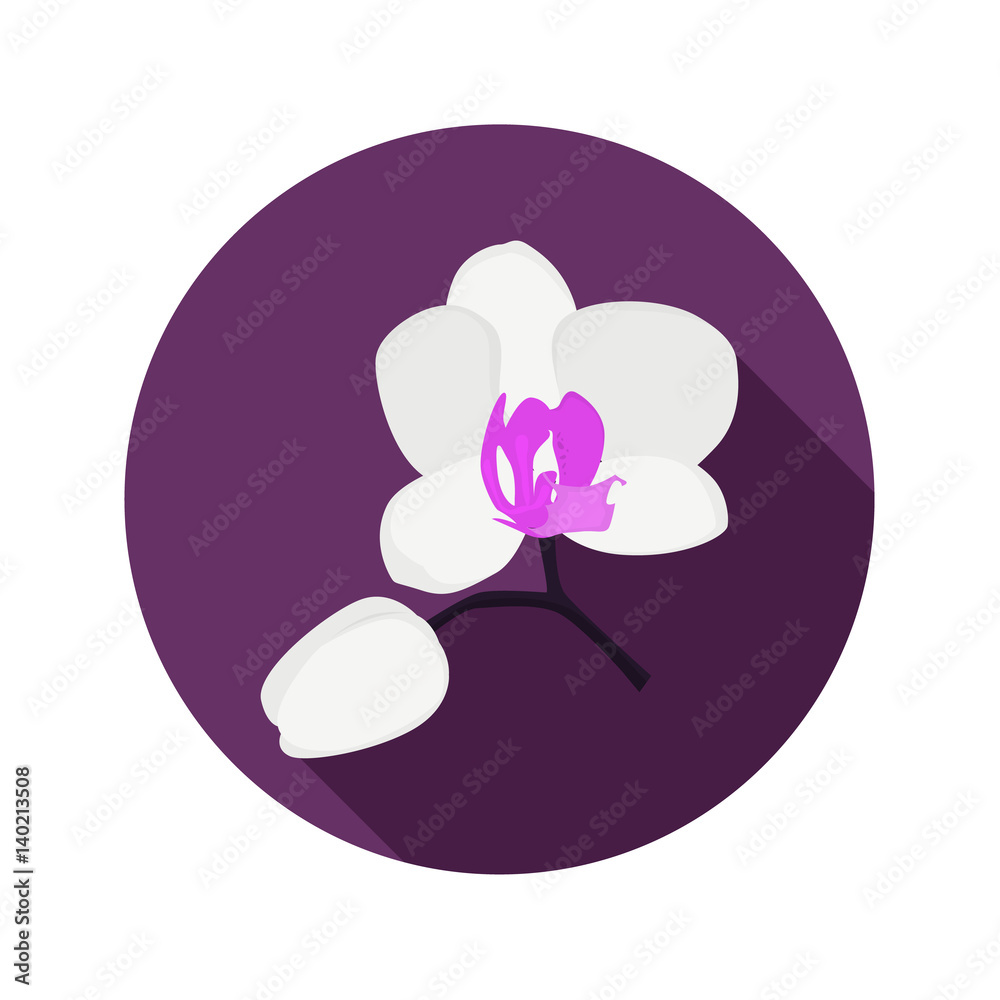 Orchid flower color flat icon for web and mobile design