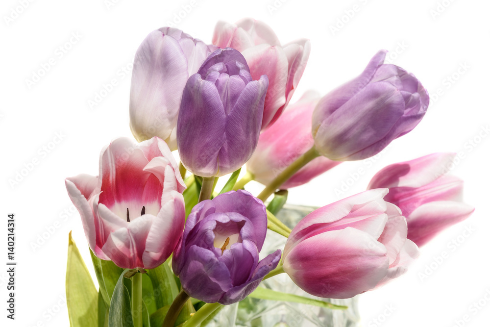 tulips flowers bouquet white background tulips flowers bouquet white background