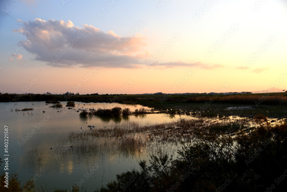 sunset at oroklini bird sanctuary
