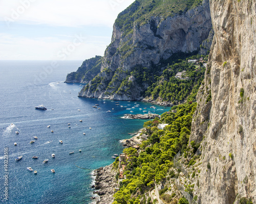 Detail of the coast of Capri