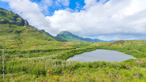 Obraz na plátně Historic Hawaiian Menehune Fishpond Overlook, Kauai island, Hawaii