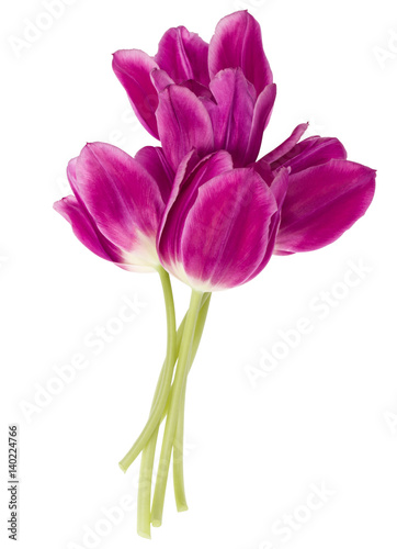 lilac tulip flowers bouquet isolated on white background cutout © Natika