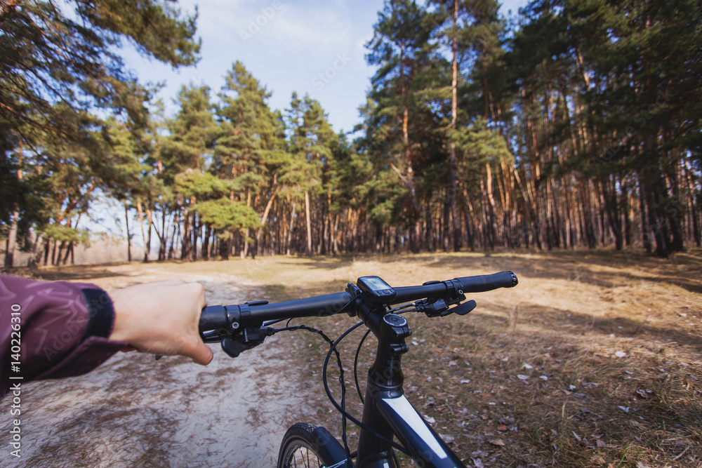 cyclist rides in the forest on a bike. cyclist rides in the forest on a bike.