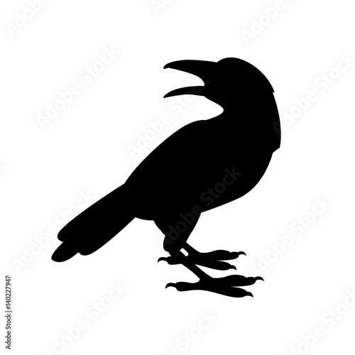 Crow vector illustration  black silhouette