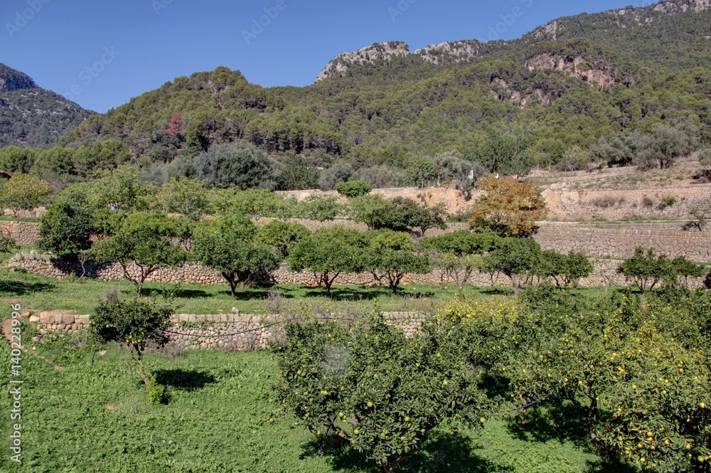 Fototapeta premium maison typique de Majorque (Baléares)