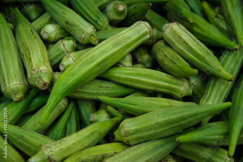 Food background Abelmoschus esculentus or commonly known as okra plant