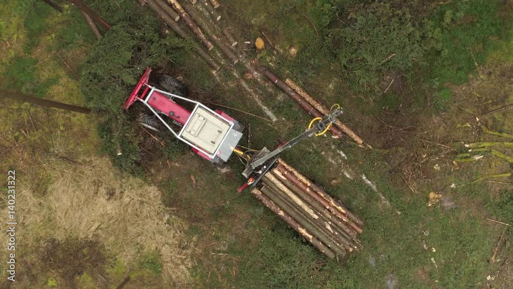 AERIAL DISTANCING Flying above logging truck lifting pile of delimbed cut tree trunks on the stacked tractor on forest clearing. Forwarder loading harvest for the transportation from stumps to sawmill AERIAL DISTANCING Flying above logging truck lifting pile of delimbed cut tree trunks on the stacked tractor on forest clearing. Forwarder loading harvest for the transportation from stumps to sawmill