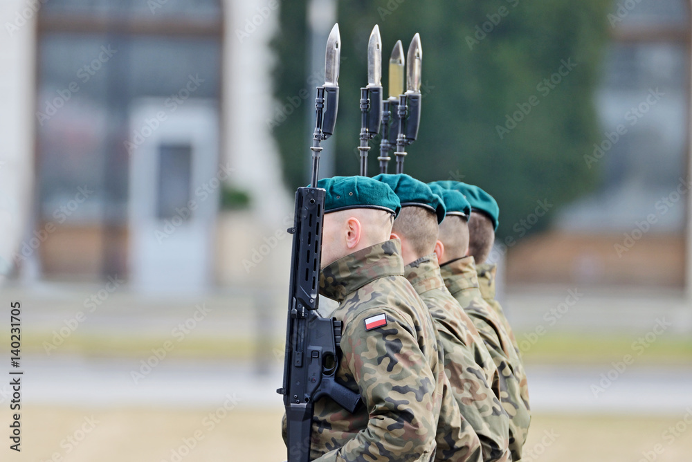 Obraz premium Wojsko Polskie