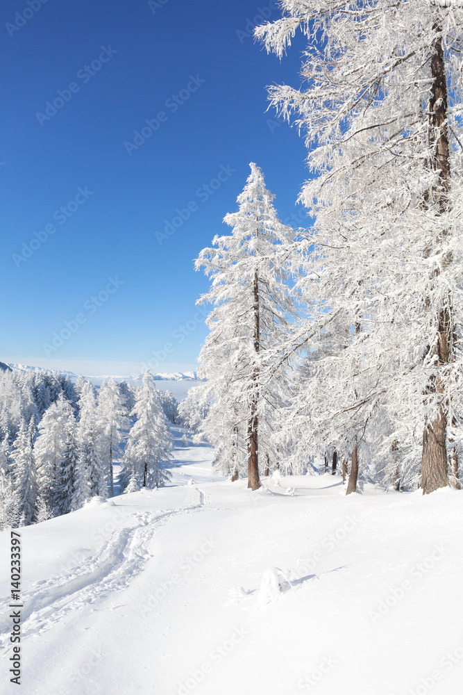 Sonniger Wintertag in den Alpen